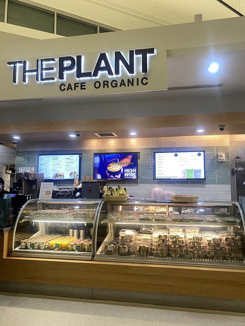 OG The Plant Inside Terminal 2 - Fresh Juice Availablee  at SFO - The Plant Cafe Organic- T2 in South San Francisco