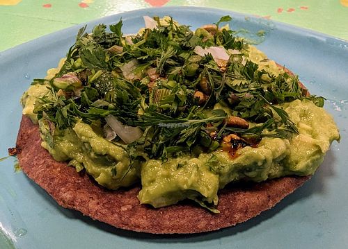 Avocado tostada at PIA in New York City