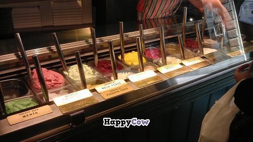Counter
 at Gelateria Dei Neri in Florence