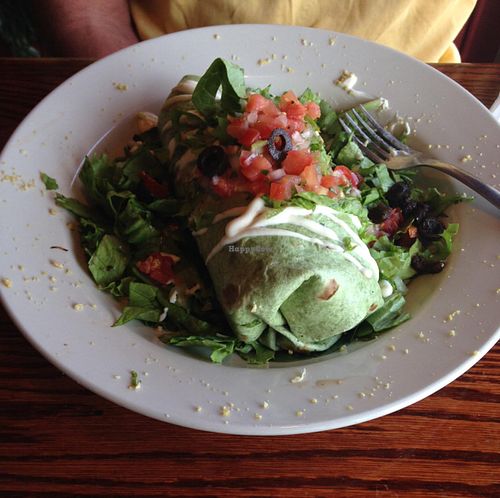 Surfer Burrito at End of the Line Cafe in Pensacola