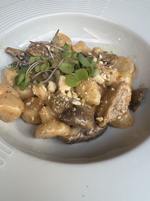 Delicious vegan gnocchi; tiny plate   at Restaurante Anoa Santanyí in Mallorca