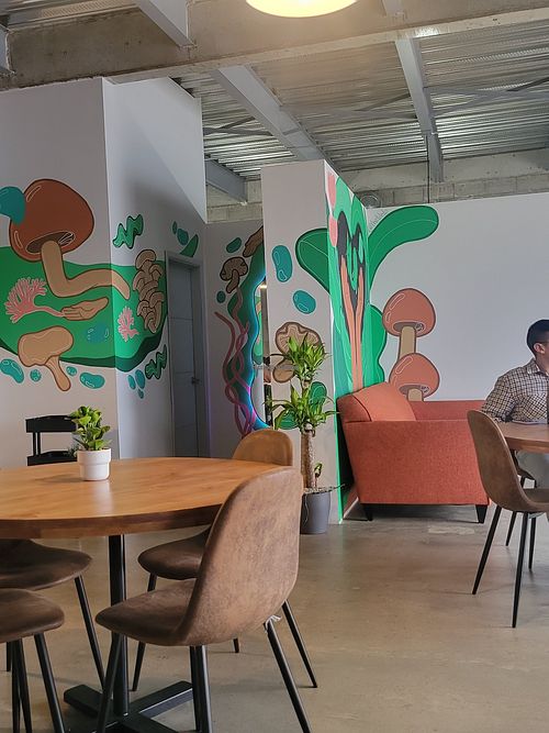 Inside at Bhumi in Tijuana