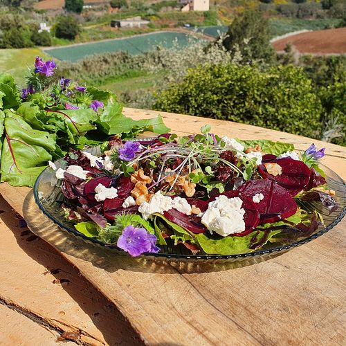 Caprese salad made of organic beetroots. at Eco Rico in Gran Canaria