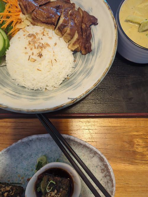 lunch special with green curry and vegan duck at Cookatoo Kitchen in Richmond