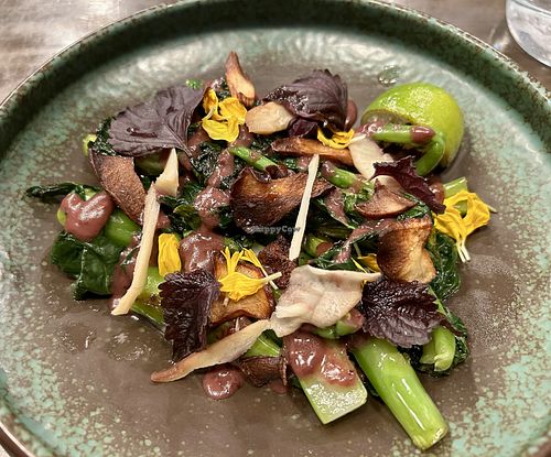   at Hawker in Toronto