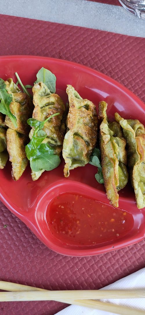 Gyoza legumes at Osaka in Spa