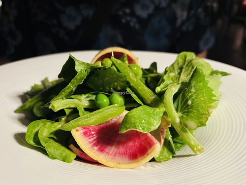 Spring Chopped Salad  at Crossroads Kitchen in Las Vegas