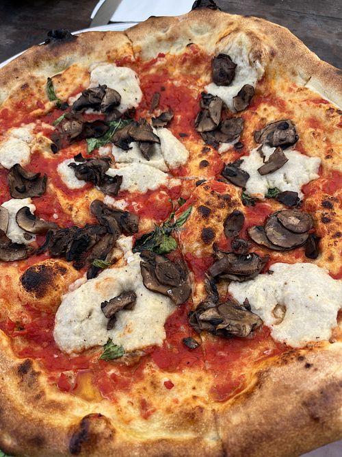 Vegan pizza with mushrooms added; wish they were heavier with the sauce and cheese!  at Pitfire Pizza in North Hollywood