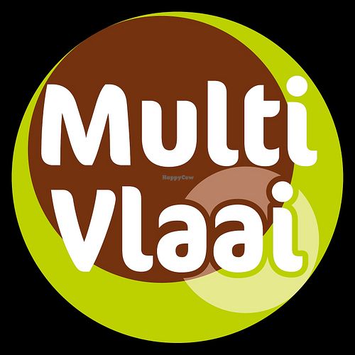 Logo at MultiVlaai in Dronten