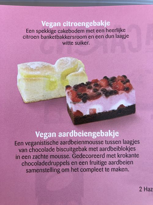 The two vegan options   at MultiVlaai - Meent in Rotterdam
