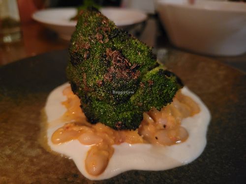 Broccoli at Vedge in Philadelphia