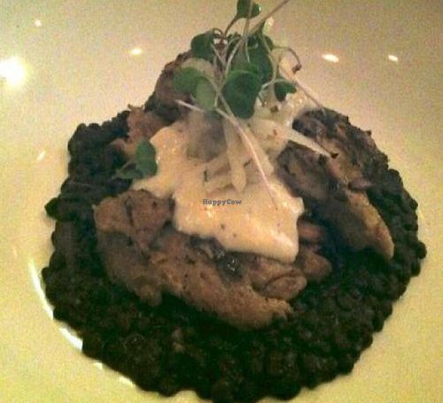 Grilled seitan, black lentils and mushrooms, creamy horseradish, kohlrabi by kevin mudrick at Vedge in Philadelphia