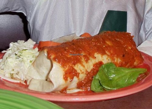 Vegan burrito.  at Viva Taqueria and Cantina in Ithaca