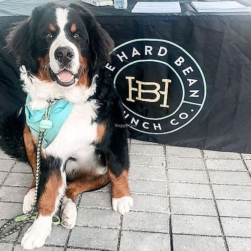 The Hard Bean Brunch Co Port Moody British Columbia Restaurant HappyCow