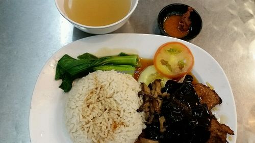 sesame oil chicken rice at Vegetarian Villas 素雅轩 in West Singapore