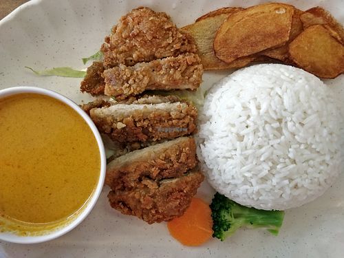 Curry Chicken chop rice at Vegetarian Villas 素雅轩 in West Singapore