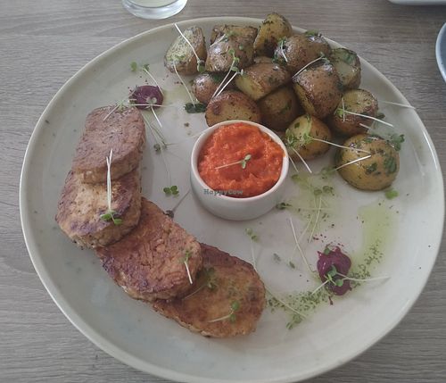  at Bojtorina Vegan Kitchen in Sopron
