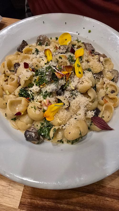 Spicy Alfredo at Lilla in Portland