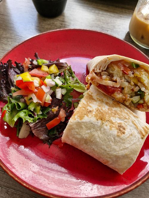  at The Fat Frog Cafe in Liskeard