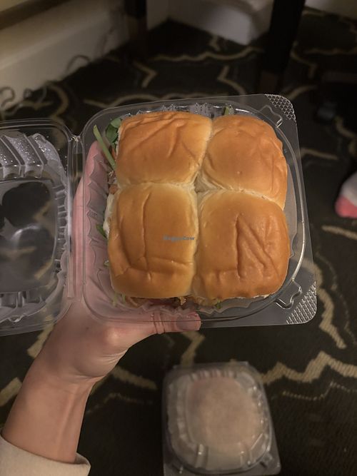 NON VEGAN spicy basil burger  at Plant B in Chicago