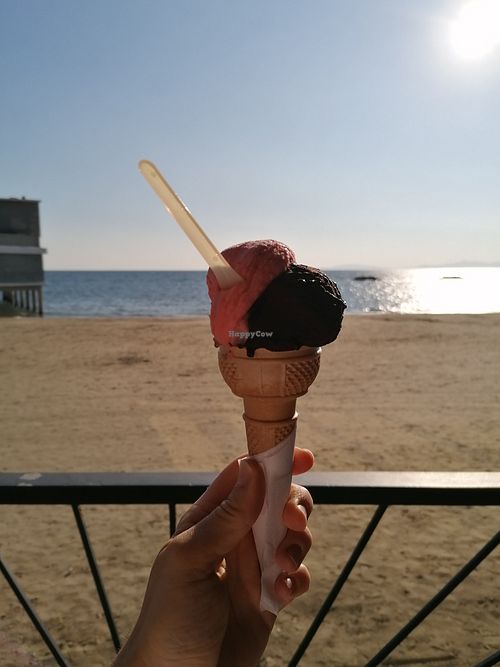 Vegan gelato: dark chocolate and strawberry, and vegan cone. at Pagni Gelati in Follonica