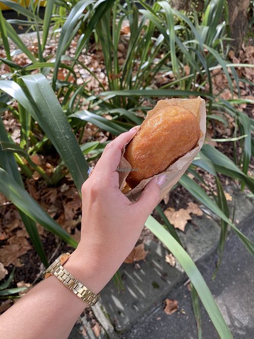   at Tart Bakery - Auckland Uni Quad in Auckland