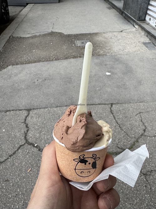   at Gelateria Moou in Turin