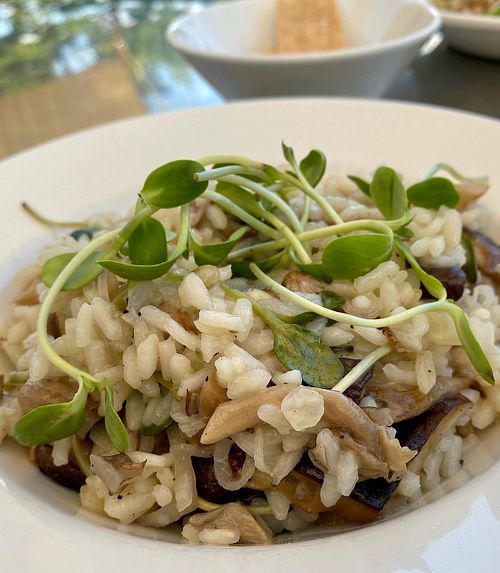 Oyster mushroom risotto   at Glasshalfull in Carrboro