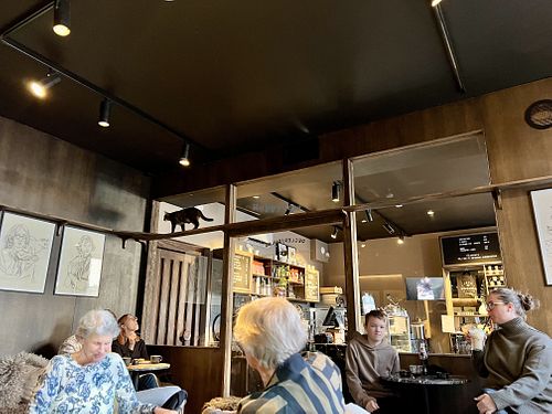   at Java Whiskers Cat Café in Stockholm