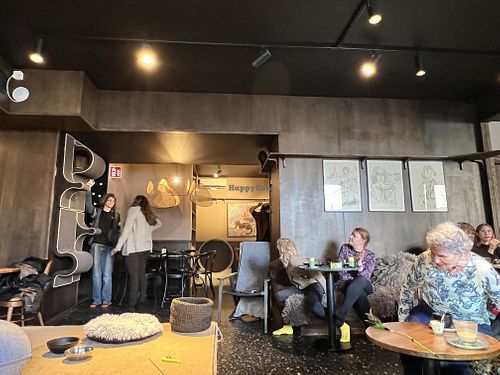   at Java Whiskers Cat Café in Stockholm