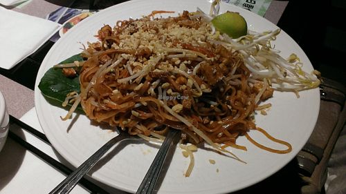 their pad thai~ at Tenon Vegetarian Cuisine in Markham