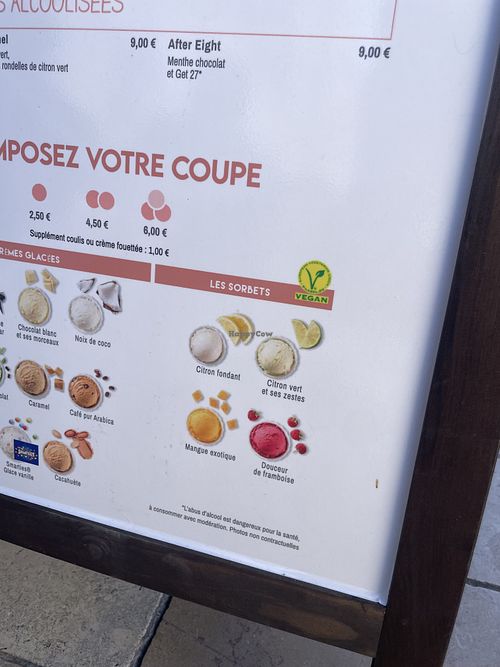   at Le Glacier de la Maison Carrée in Nimes