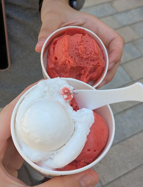 at Le Glacier de la Maison Carrée in Nimes