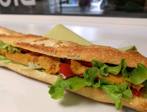 Sammie at Vegan Folie's in Paris