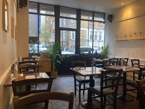 Inside at Plants of Roselyn in South East London