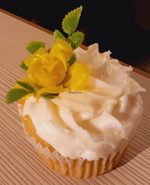 Image of The Flying Cupcake - Massachusetts Ave