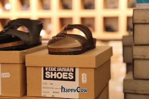  at avesu - Schivelbeiner in Berlin