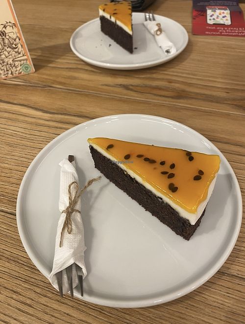   at Mojasrdcovka in Bratislava