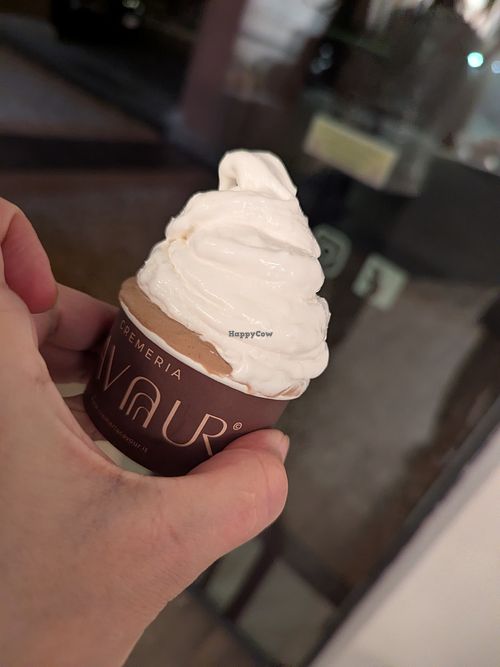 Coconut and gianduia. Very hot evening, so already starting to melt.  at Cremeria Cavour in Bologna