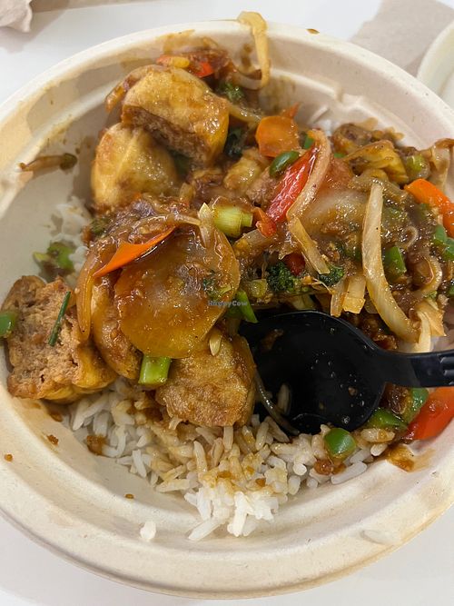 Vegetable and tofu rice bowl at JFK - Lucy's Asian Kitchen - T5 in Jamaica