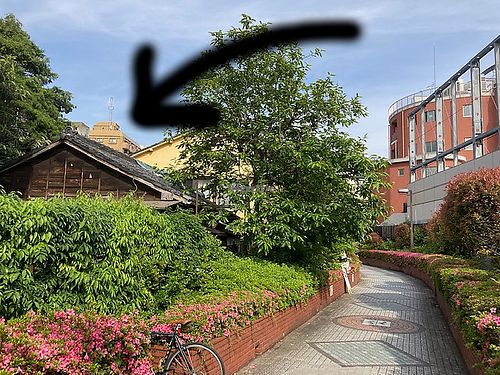 It's here! at WAHA in Tokyo