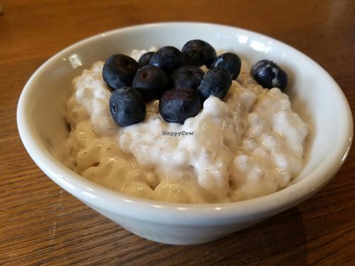 Vegan Tapioca Pudding at M.O.B. - Maimonide of Brooklyn in Brooklyn