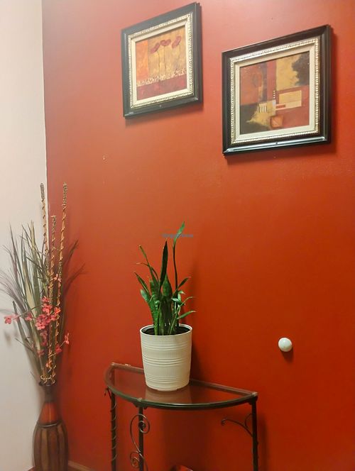  at Xenia A Kebab Grille in Harrisonburg