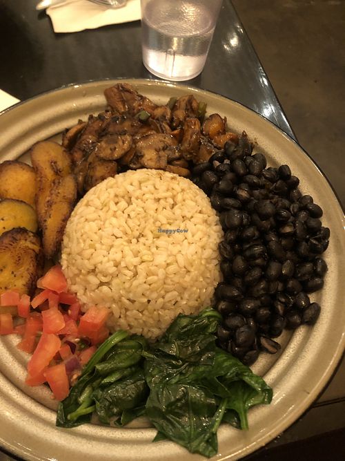  #Veganuary at Vegan Vibes Cafe & Juice Bar in Philadelphia