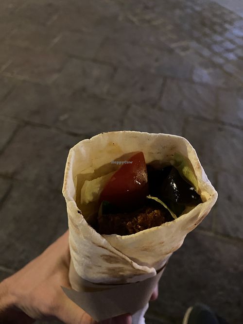 Falafel Alladin wrap  at Aladdin in Crete