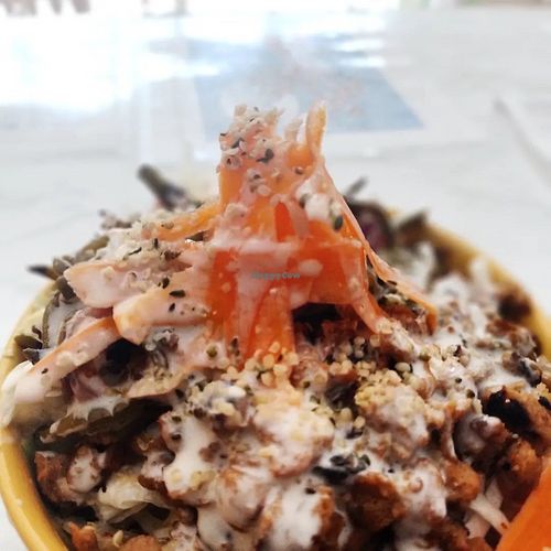 Image of Burbuja para Conejos