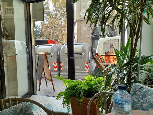  at True Roots in Barcelona