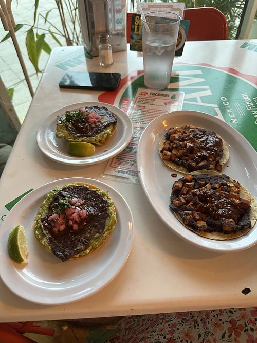   at Tacombi in Miami