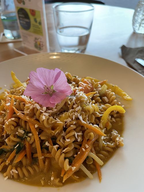   at ALB-GOLD Restaurant Sonne in Trochtelfingen