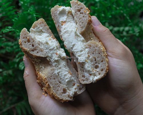 Onion bagels with cream cheese ~ vegan and gluten free at Cosmic Bakery in Miami Lakes